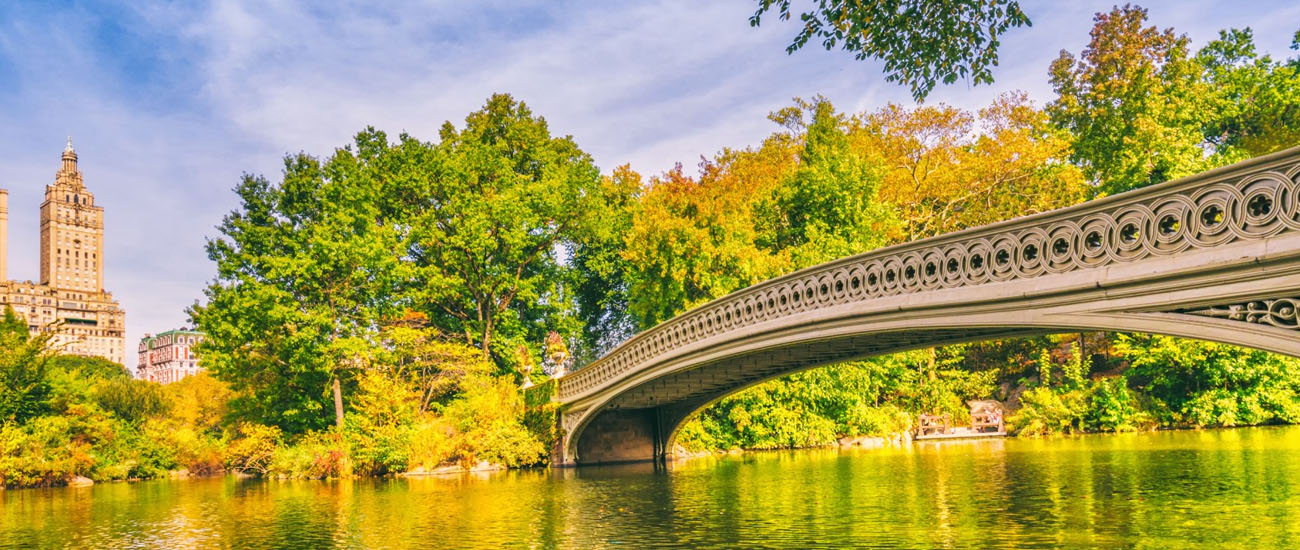 Central Park A Tranquil Oasis in the Heart of New York City